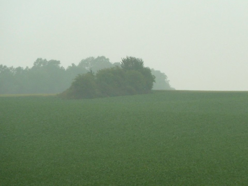 Remicourt-Tumulus van Hoedeige (1)
