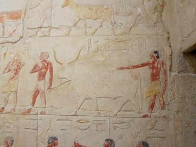 Reliefs in tomb of Idut III
