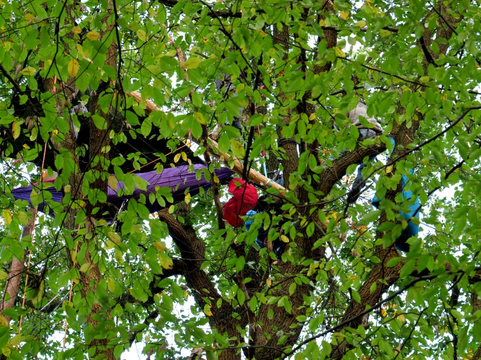 Re-occupation village in the Hambach forest 04