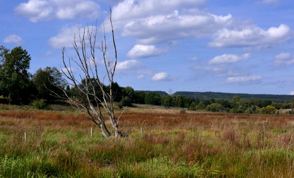 ReinsfeldNaturschutzgebeitOsterbachtalH3a
