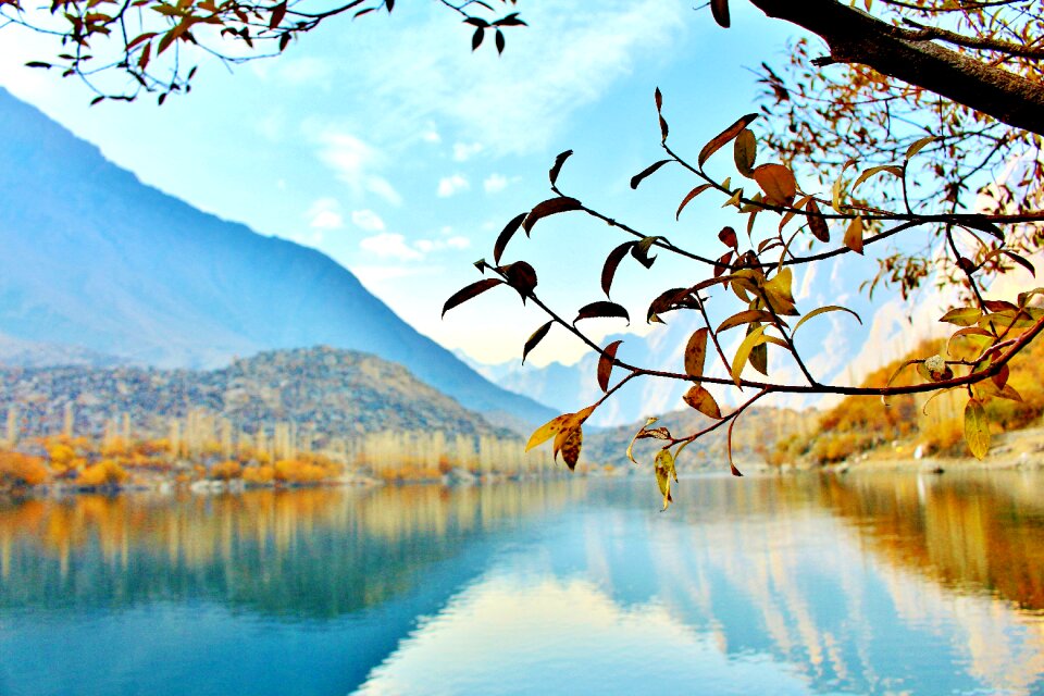 Nature landscape forest
