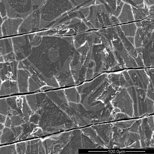 REM-Hydroxid-1000-16
