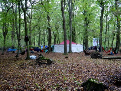 Re-occupation village in the Hambach forest 02