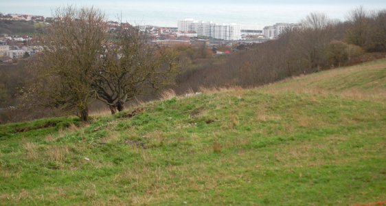 Remaining Features at Whitehawk Neolithic Camp, Whitehawk Hill, Brighton (November 2020) (4)