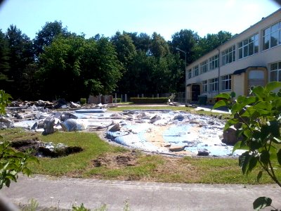 Removal of Čiauškutis Kindergarten exterior