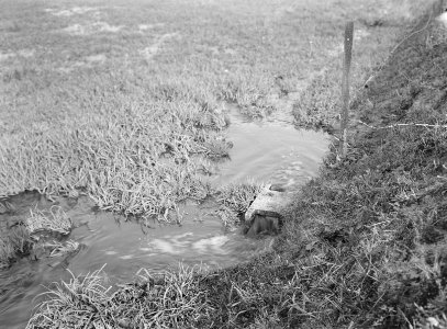 Reiniging afvalwater, verwerken stadsvuil, vloeikokers, zandley, Bestanddeelnr 159-1156