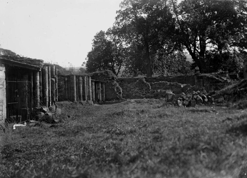 Remains of Strata Florida Abbey (1293470)