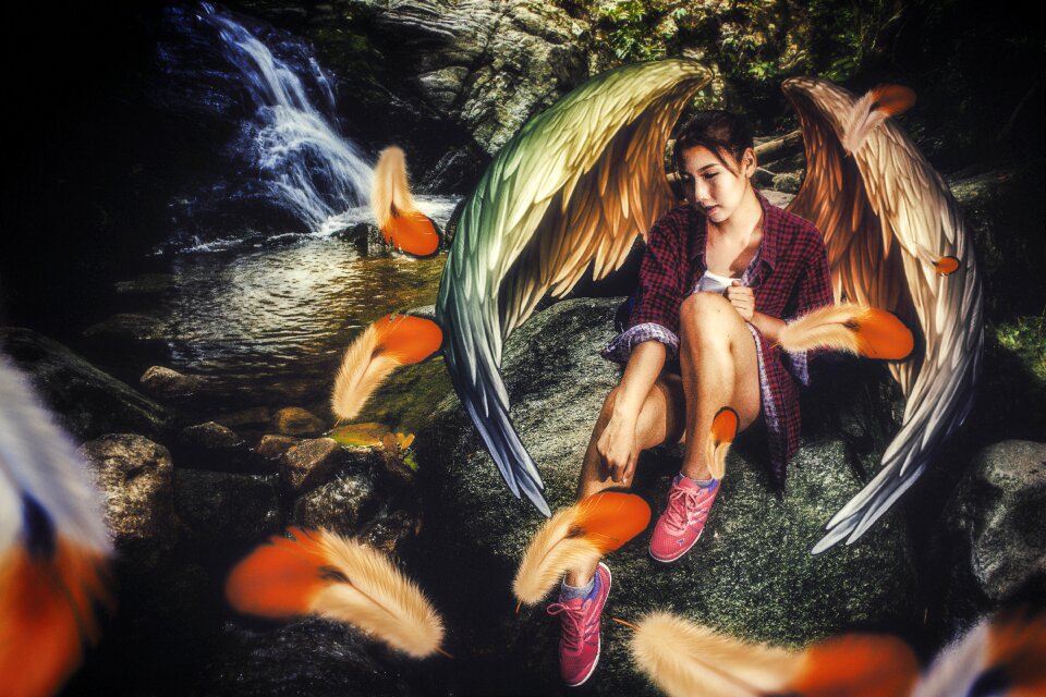 Angel wings feather fantasy