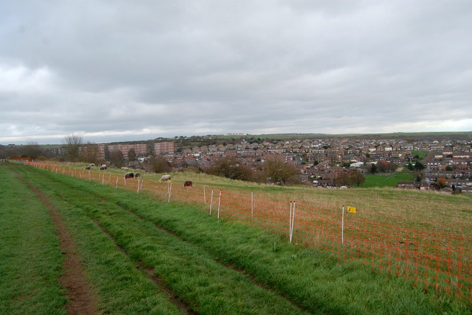 Remaining Features at Whitehawk Neolithic Camp, Whitehawk Hill, Brighton (November 2020) (9)