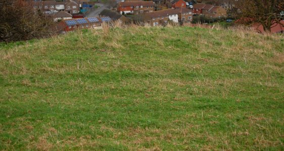 Remaining Features at Whitehawk Neolithic Camp, Whitehawk Hill, Brighton (November 2020) (5)