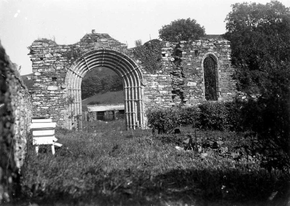 Remains of Strata Florida Abbey (1293424)