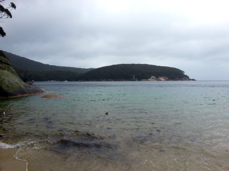 Refuge Cove, Wilsons Promontory National Park 08