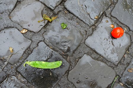 Remains of the day - Campo de' Fiori street market - Rome, Italy - DSC09731