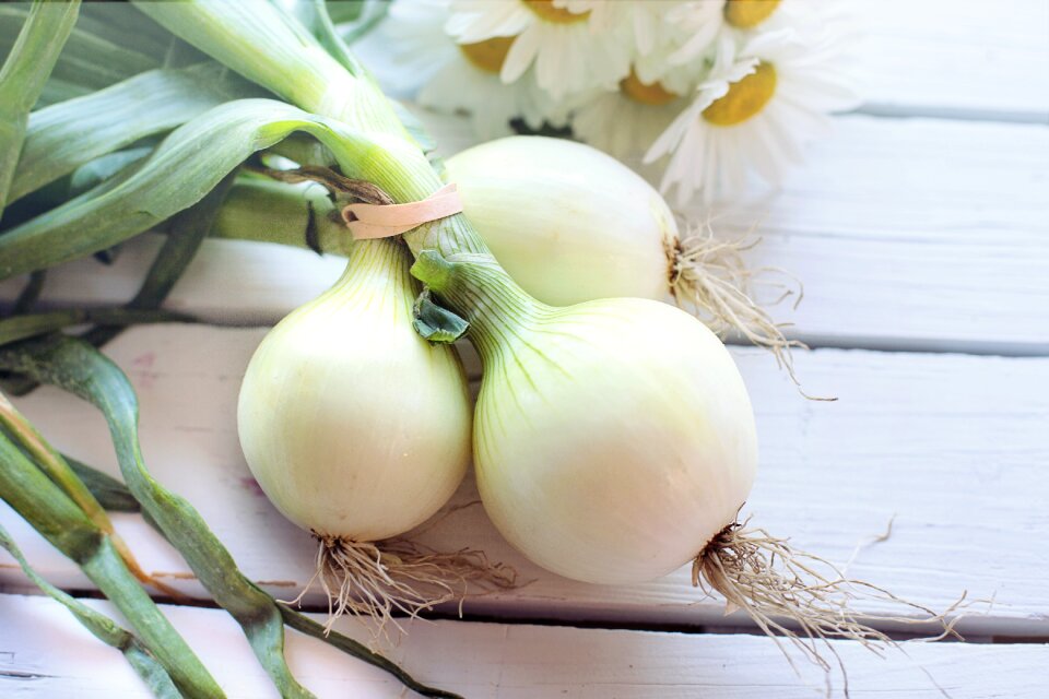 Healthy fresh diet