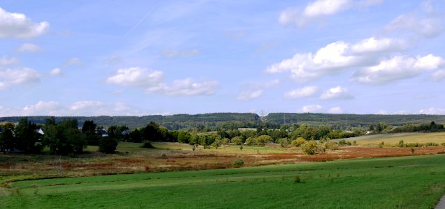 ReinsfeldNaturschutzgebeitOsterbachtalH1a