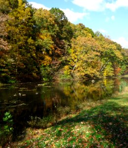 Reflections in Echo Lake Park in Mountainside New Jersey