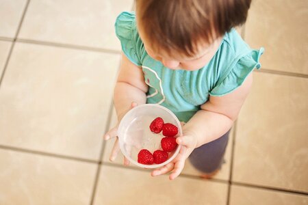 Food adorable cute