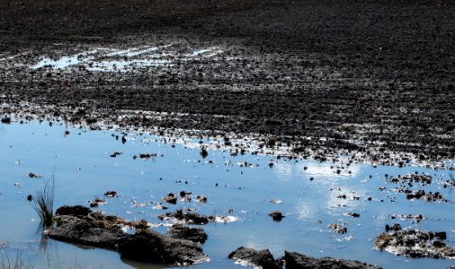 Reflection of sky in a plowed field photo