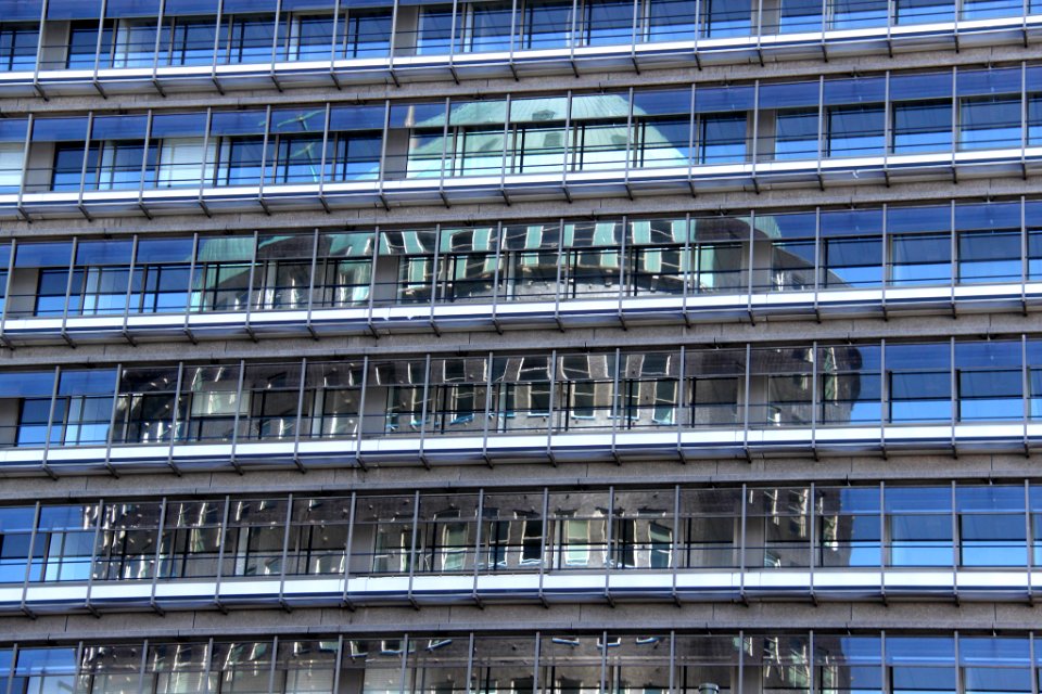 Reflected (30456053)