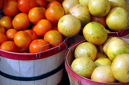 Citrus food orange fruit photo