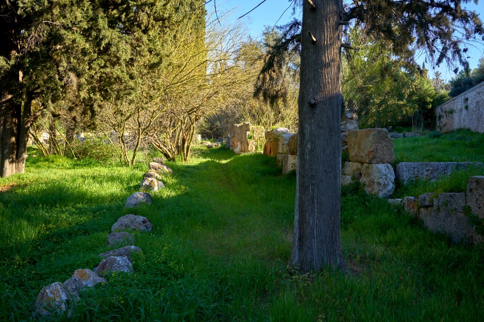 Remains of Kollytos Street on March 13, 2020