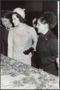 Reeks 018-1129 tm 018-1130 prinses Margriet brengt met de Deense prinses Benedi, Bestanddeelnr 018-1130
