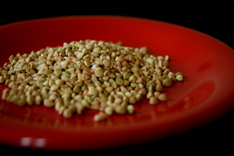 Red plate fagopyrum