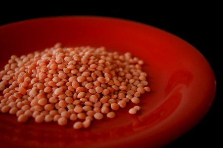 Red plate red lentils photo