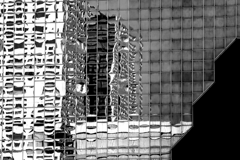 Reflected (58549256)