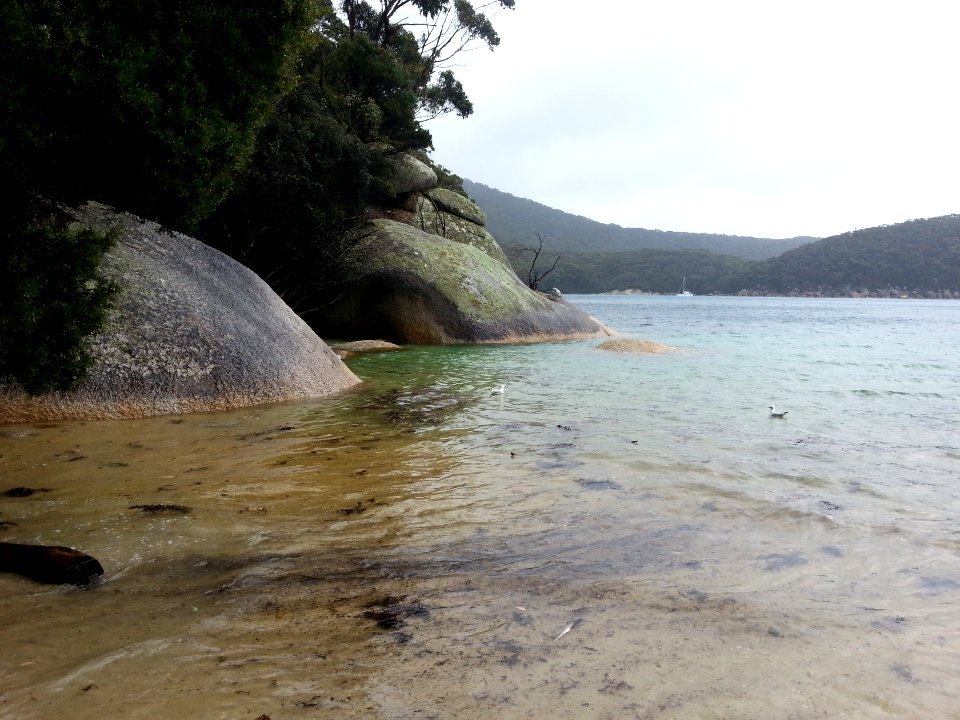 Refuge Cove, Wilsons Promontory National Park 09