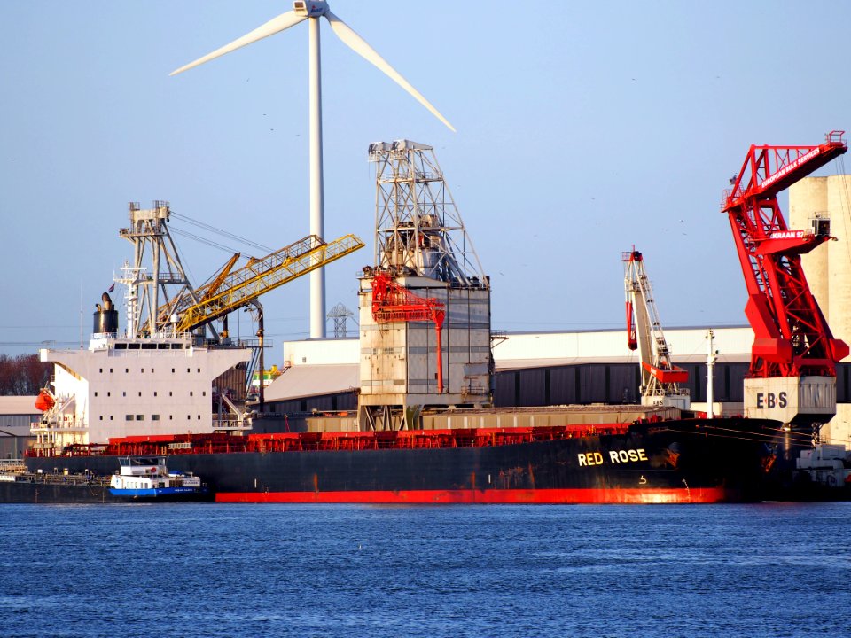Red Rose - IMO 9267613 - Callsign HOSP, Beneluxhaven, Port of Rotterdam, pic2