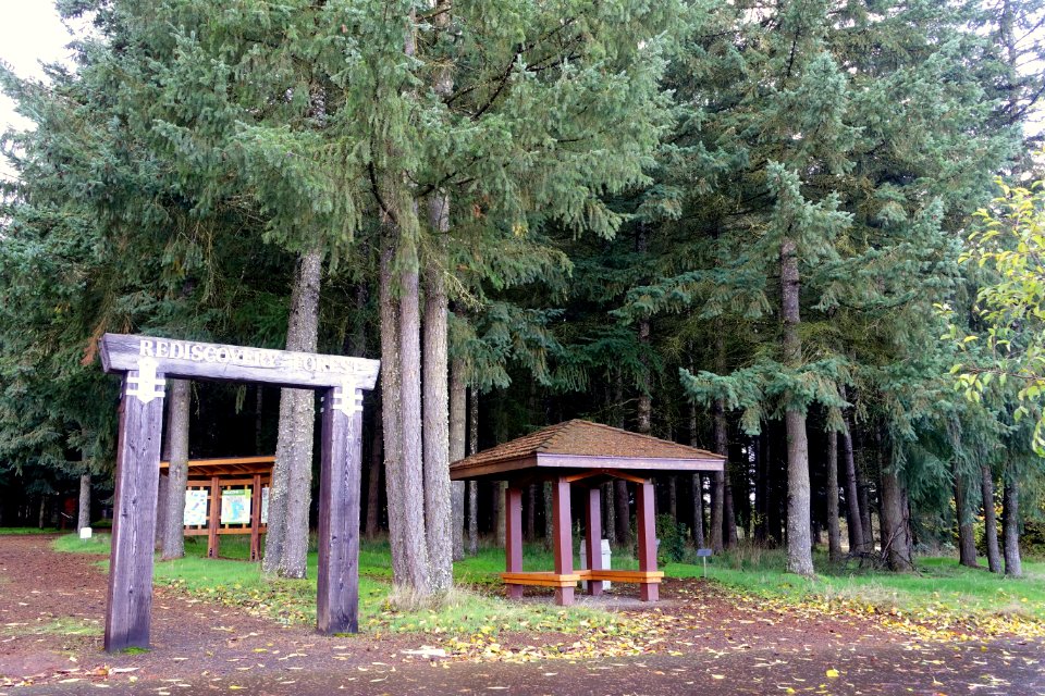 Rediscovery Forest - Oregon Garden - Silverton, Oregon - DSC00227