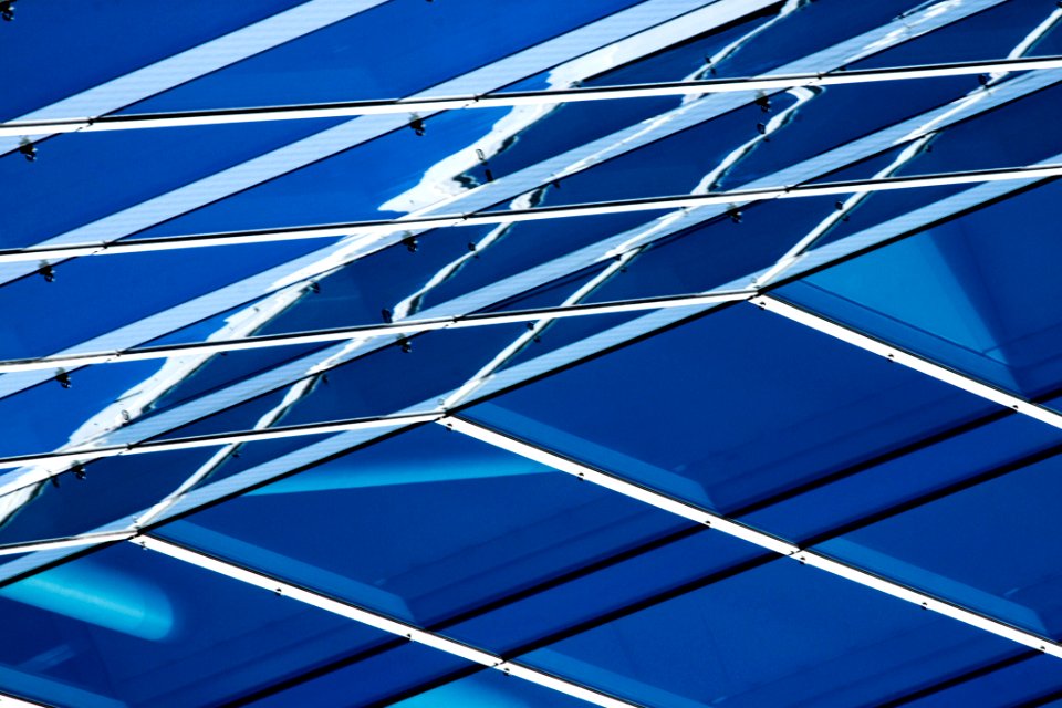 Reflection (113718229)