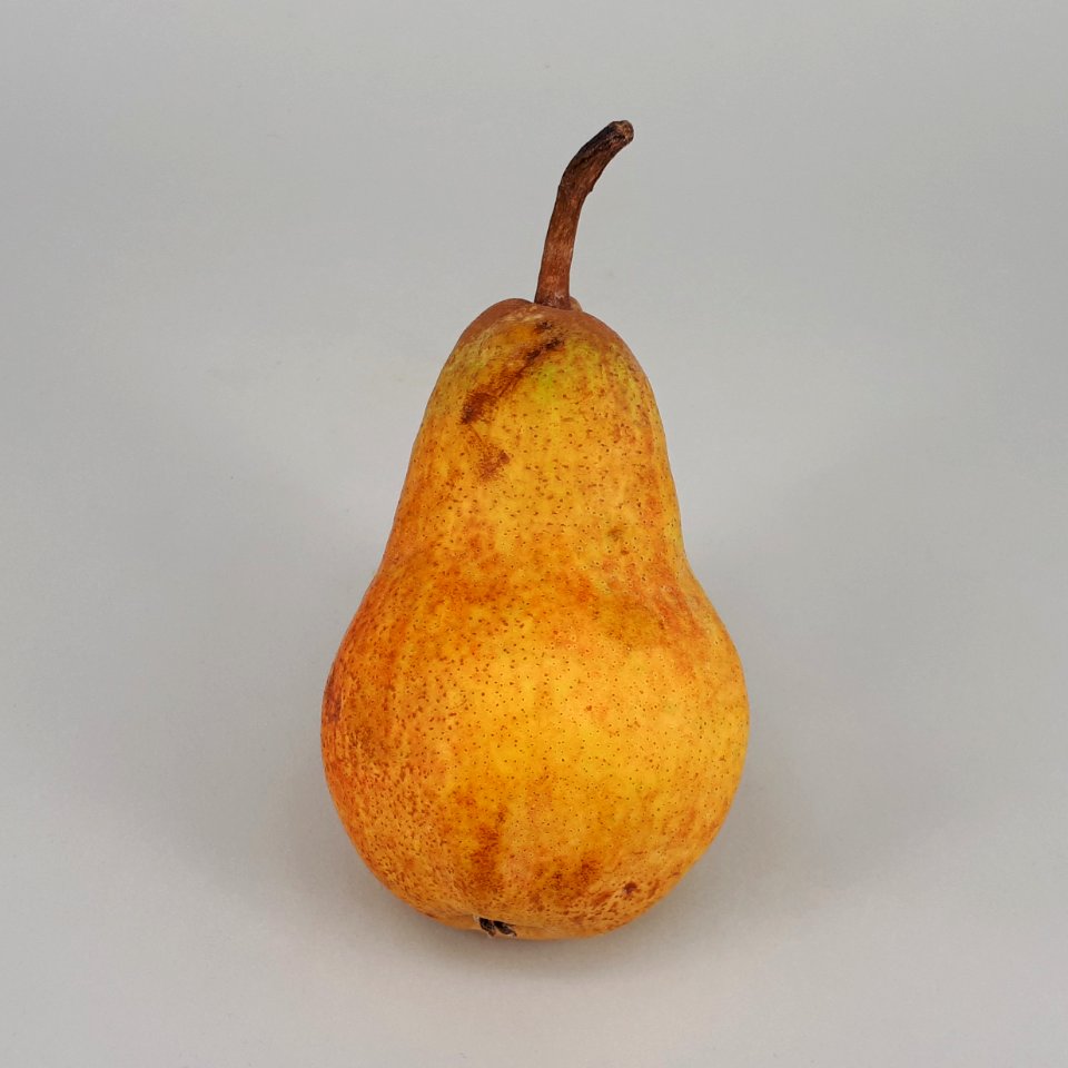 Red Bartlett pear 2017 A1
