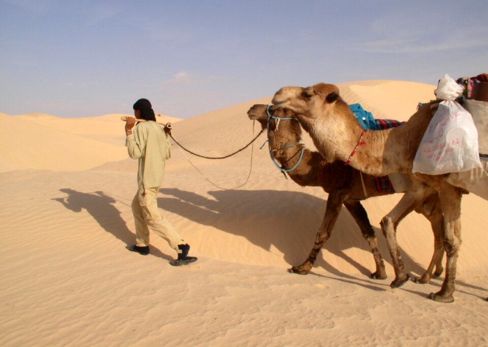 Turban dunes sand photo