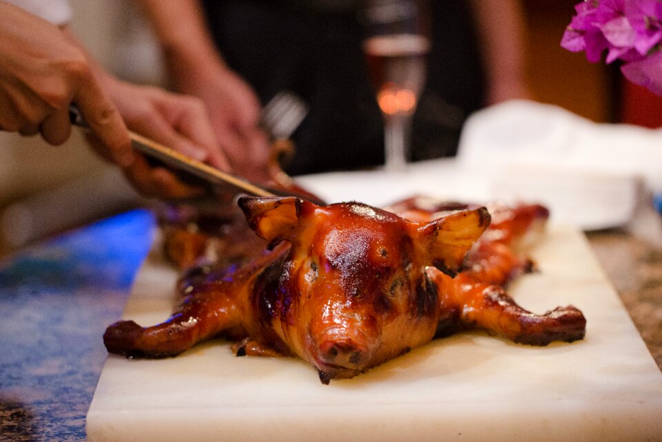 Roast suckling pig suckling pig pig