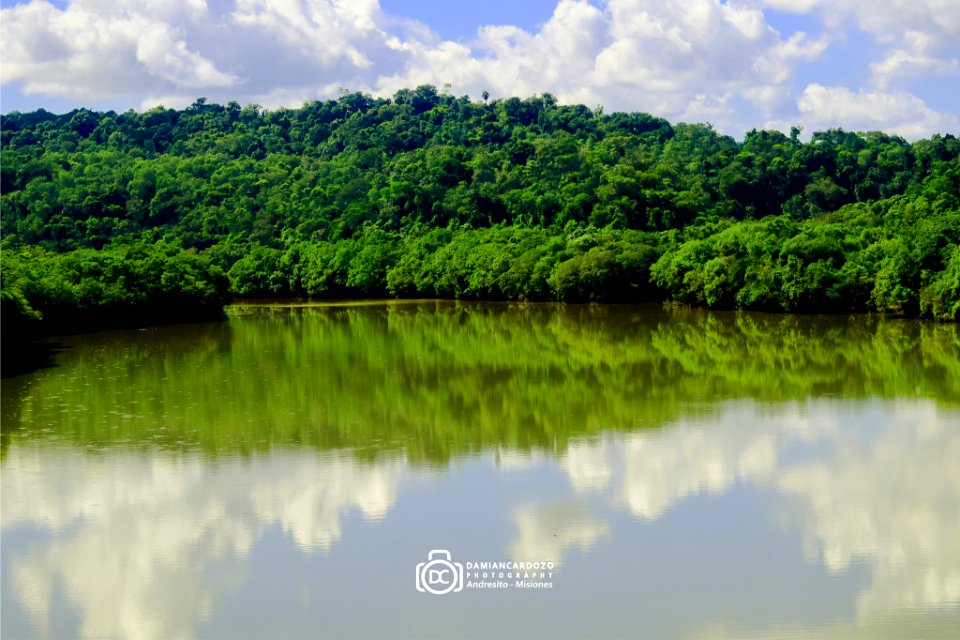 Reflected Nature In Misiones Argentina (196035823)