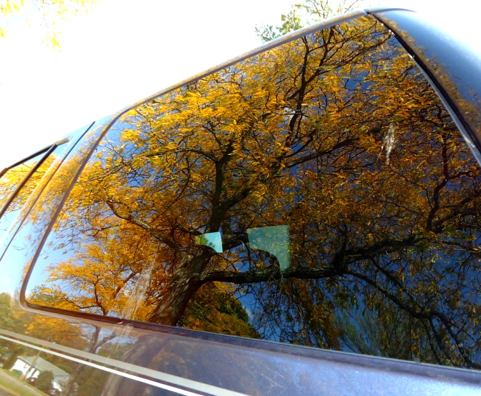 Reflections Car Window 4