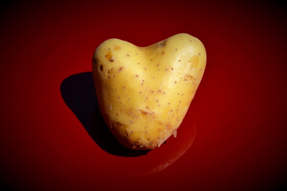 I like you i like having you valentine's day