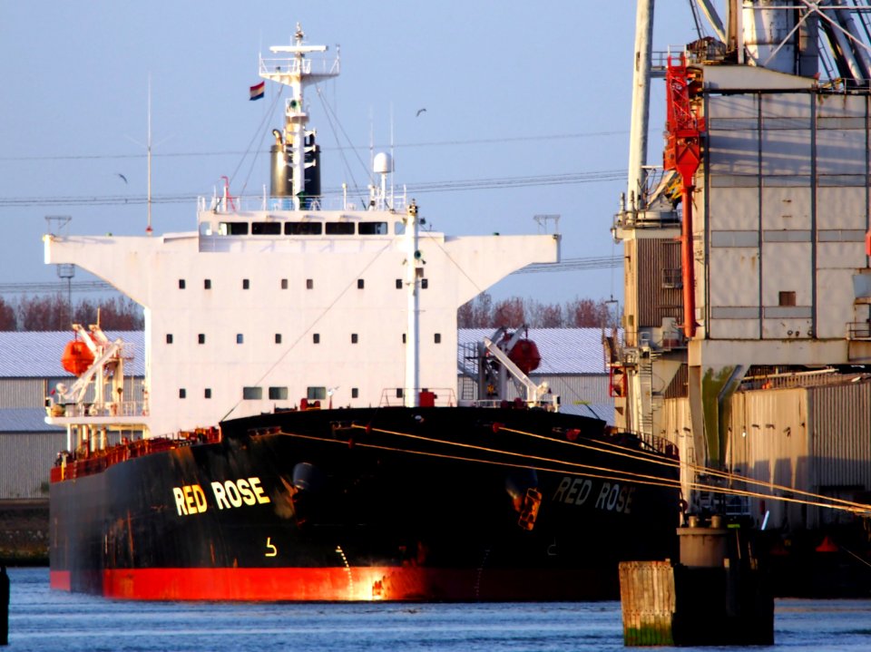 Red Rose - IMO 9267613 - Callsign HOSP, Beneluxhaven, Port of Rotterdam, pic1