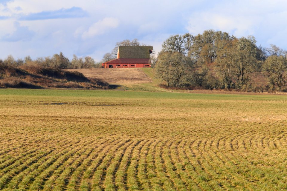 Red Barn In Wildlife Refuge (200365625)