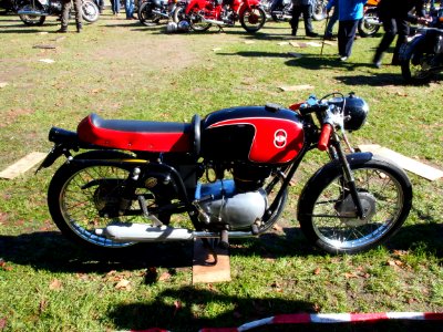 Red-black Gilera