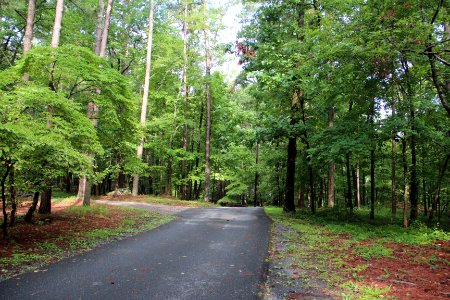 Red Top Mountain State Park campgrounds, June 2018