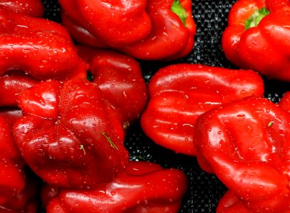 Red pepper - DSC06061 photo