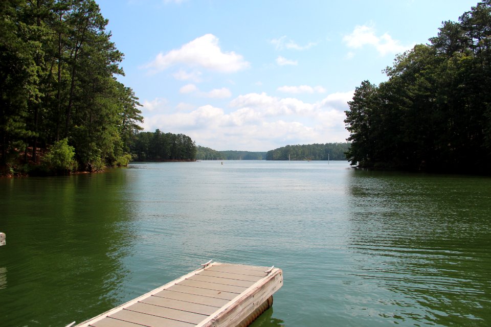 Red Top Mountain State Park docks, June 2018
