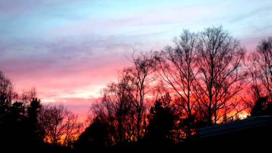 Red sunset behind trees in Brastad 1 photo