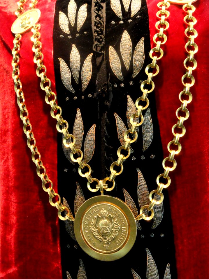 Rector's gown and chain - Arppeanum - DSC05185