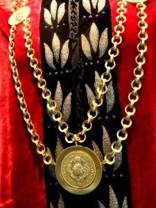 Rector's gown and chain - Arppeanum - DSC05185