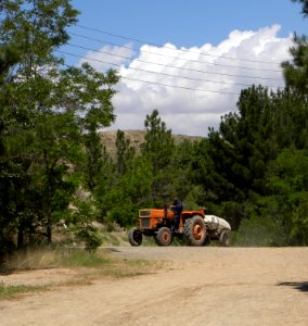 Red Traktor and its driver in Baghrud - Nishapur