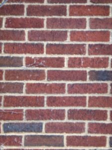 Red-brick-wall-texture-5 photo